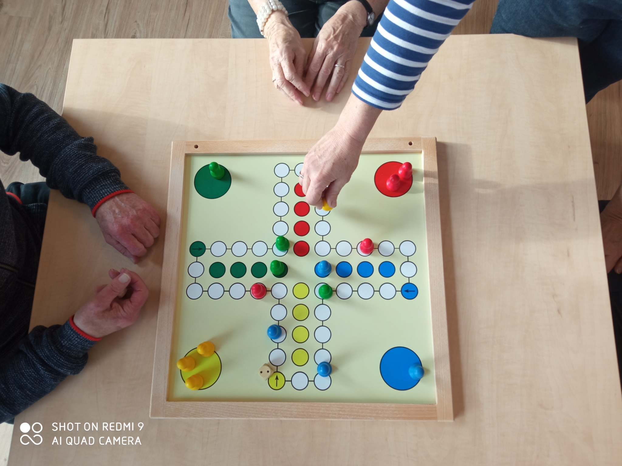 mensch ärgere dich nicht senioren magnetisch